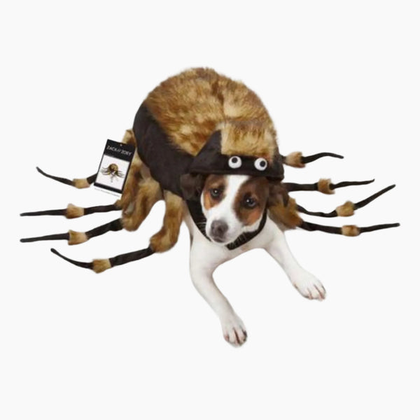 ZZ Fuzzy Tarantula Costume