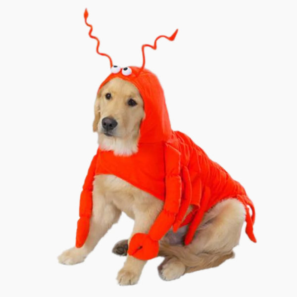 Casual Canine Lobster Paws Costume