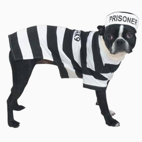 Casual Canine Prison Pooch Costume