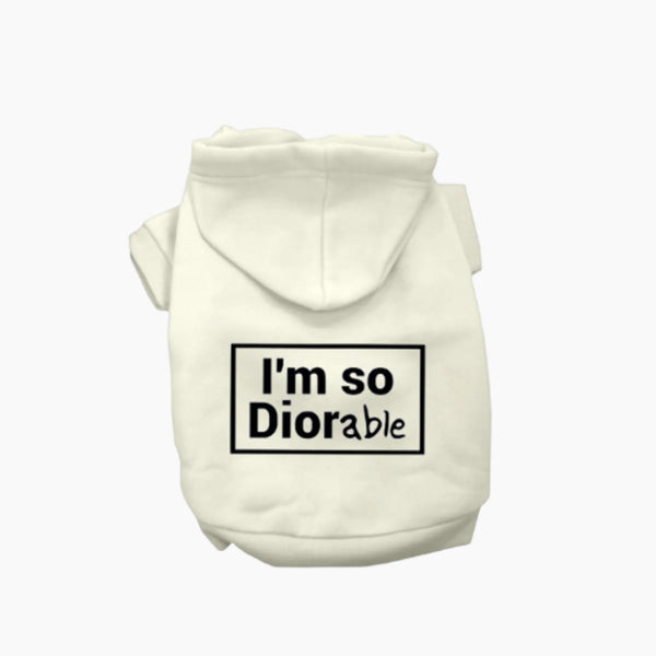 DIOR-able Hoodie