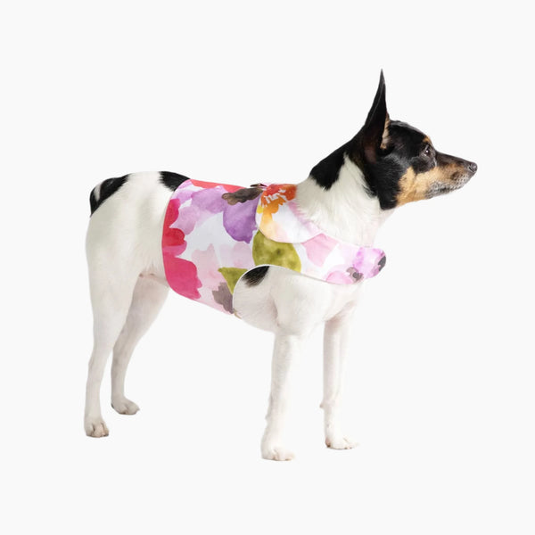 DCNY "Fine Art Frolic" Pink Vest-Style Harness