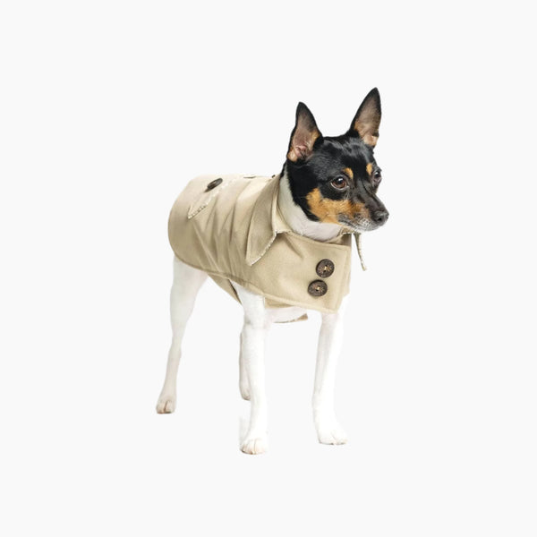 DoggieCoutureNY Classic Trench Coat