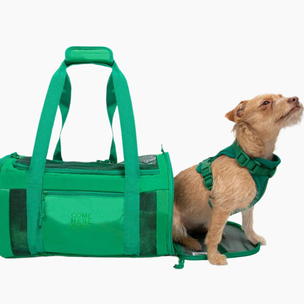 Travel Buddy  - Pet Carrier