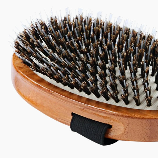 Bass Brushes- Shine & Condition Pet Brush  - Pack Of: 1